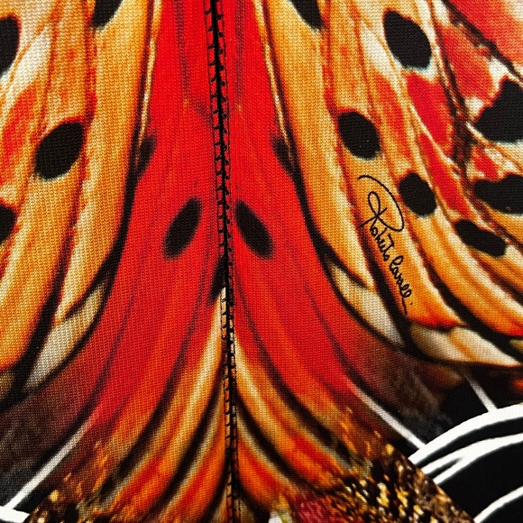 🦋 Roberto cavalli Class EUC butterfly dress large 14 - Picture 4 of 16